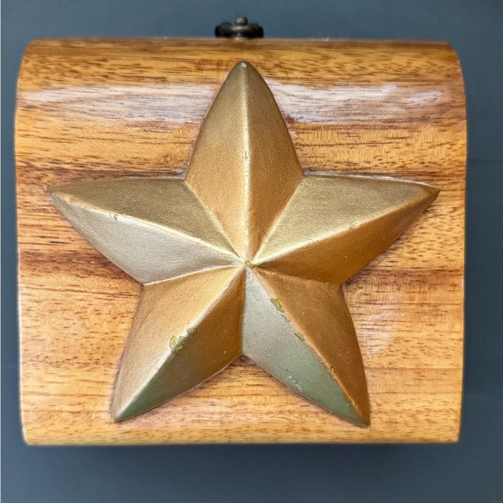 Vintage Timmy Woods Star Bag